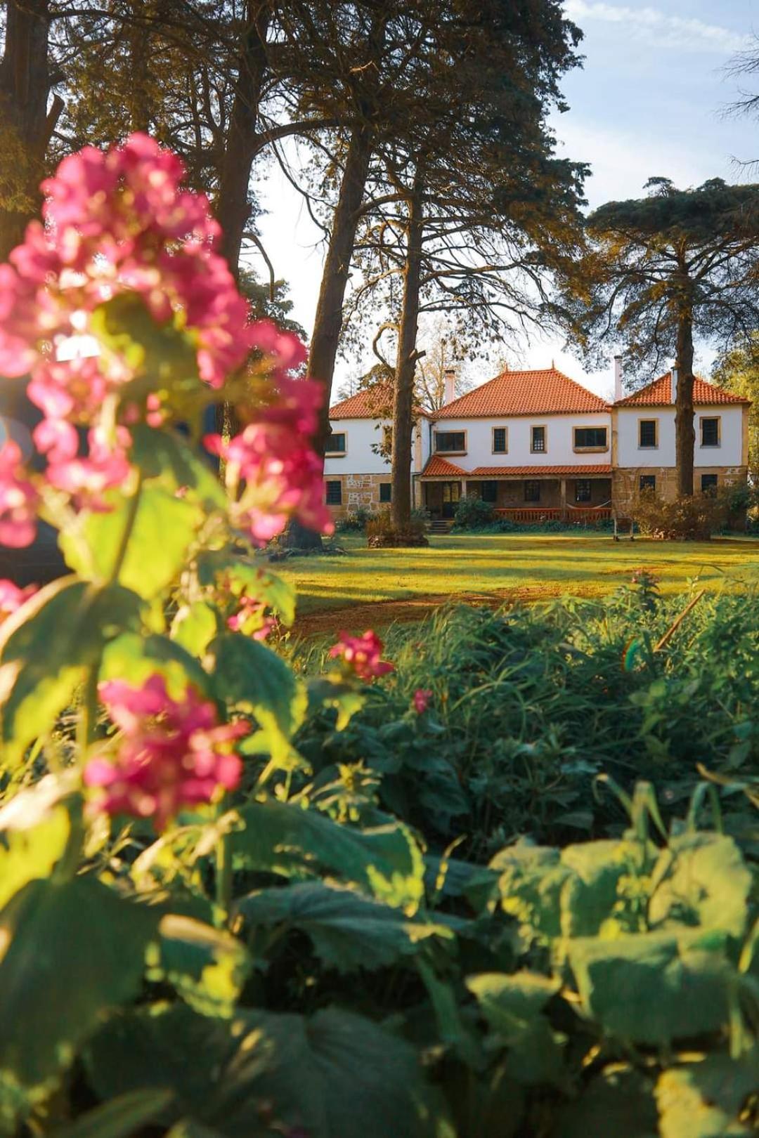 Melo Lugar Da Pedra Alta - B&B - Private Historical Villa מראה חיצוני תמונה