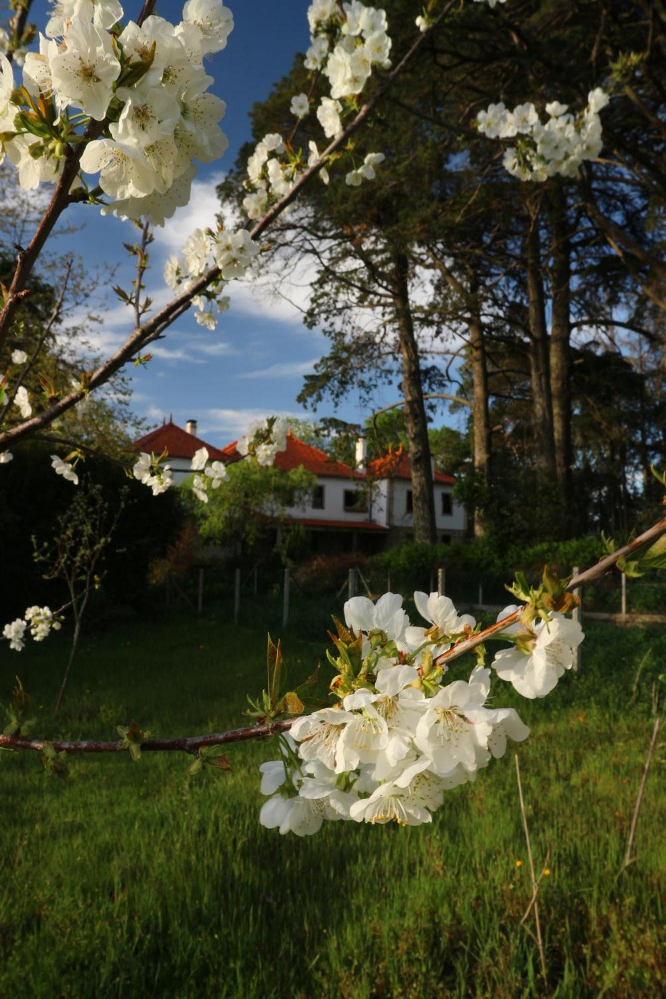 Melo Lugar Da Pedra Alta - B&B - Private Historical Villa מראה חיצוני תמונה
