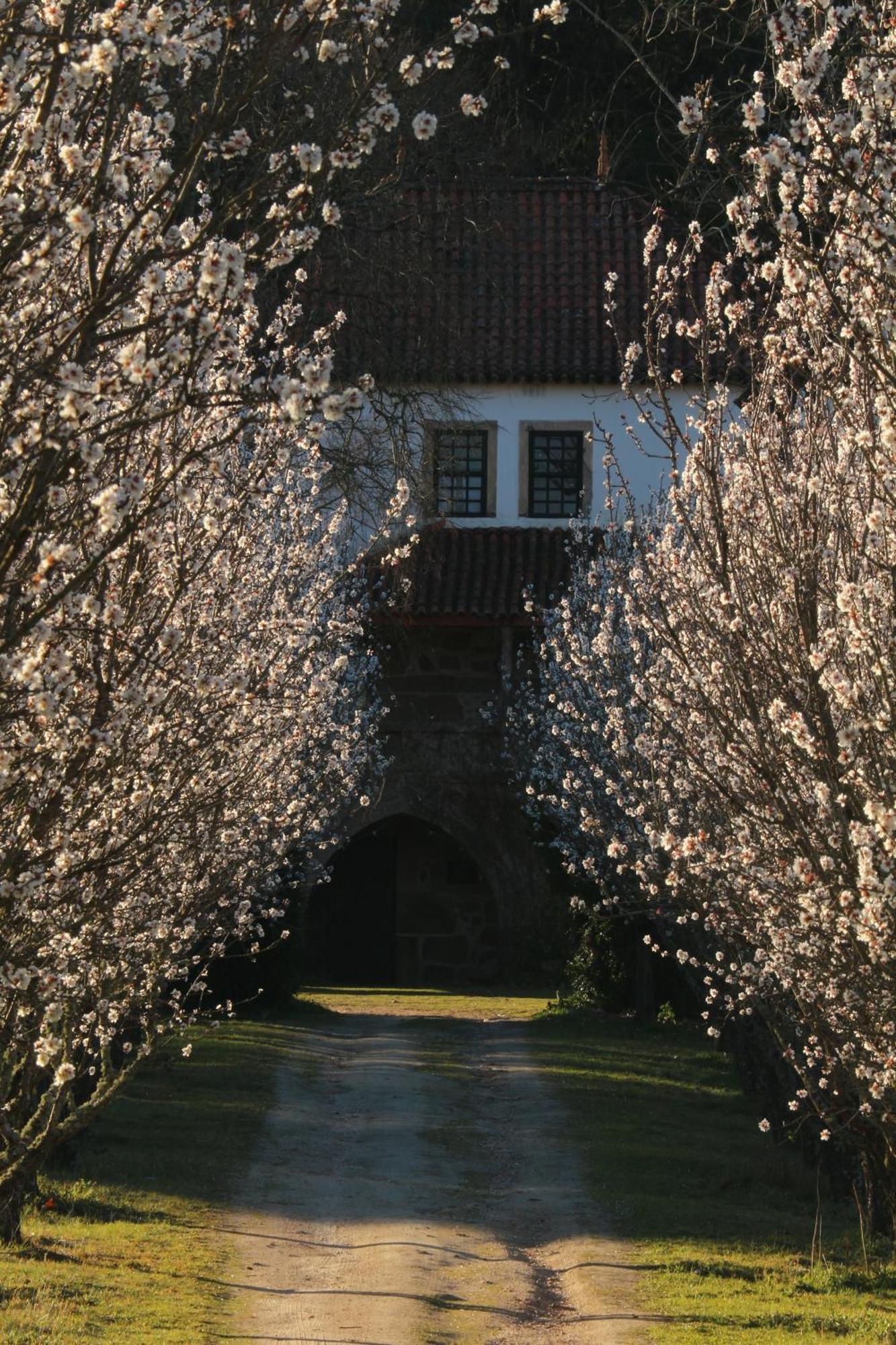 Melo Lugar Da Pedra Alta - B&B - Private Historical Villa מראה חיצוני תמונה