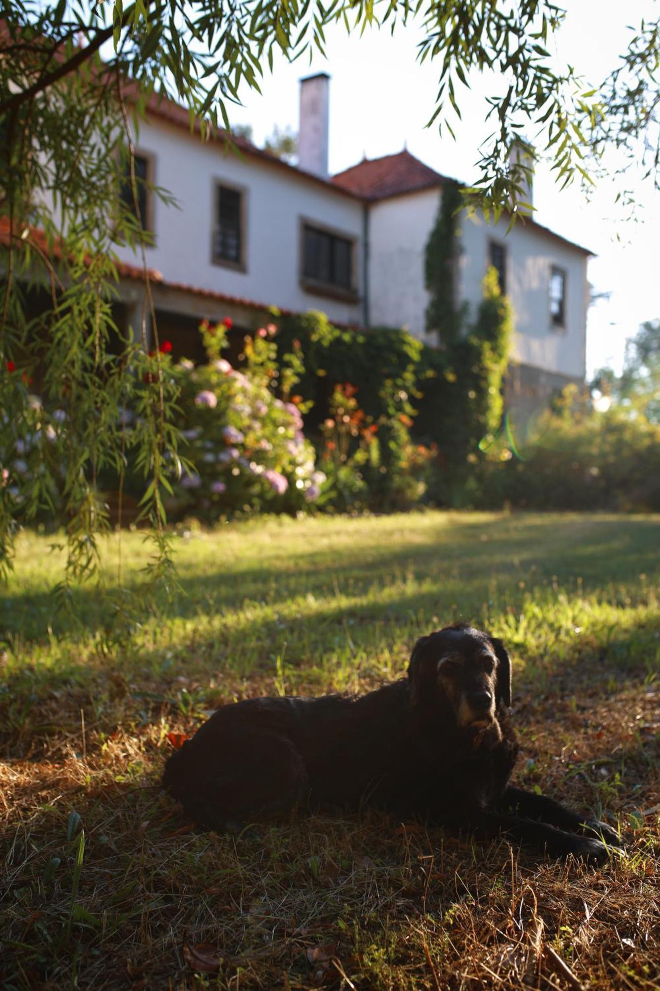 Melo Lugar Da Pedra Alta - B&B - Private Historical Villa מראה חיצוני תמונה